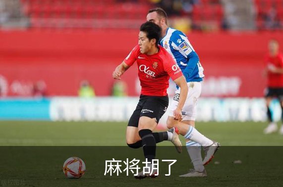 麻将胡了概况